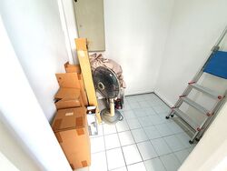 The Tanamera (D16), Condominium #502711801